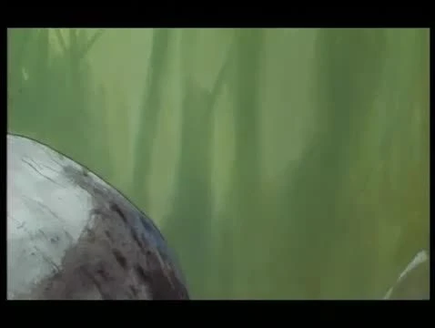 Tecknat Barn Svenska:Kalle Stropp och Grodan Boll på svindlande äventyr (1991) DVDRIPPEN (Svenska) Musiktrailer